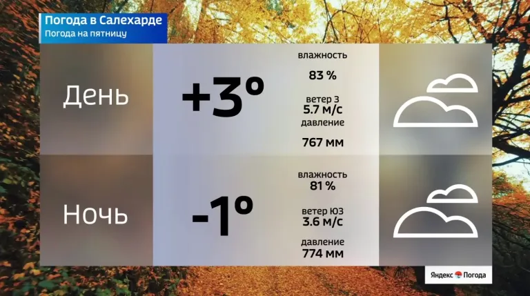 На Ямале ожидают от +3° до −8° и мокрый снег