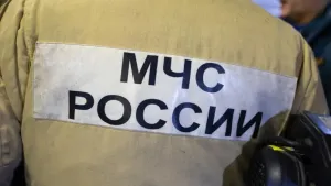 Два человека погибли при пожаре в доме в Тарко-Сале