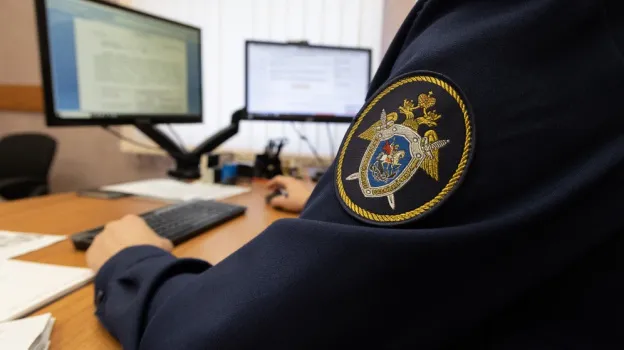 СК начал проверку после вспышки кишечной инфекции в «Космолэнде»